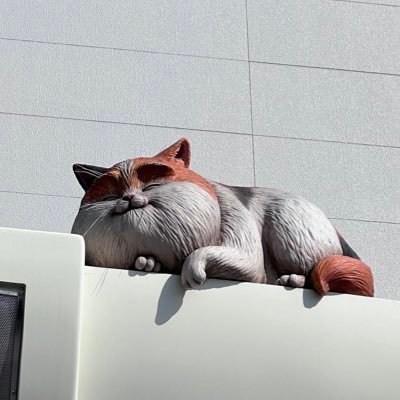 pamuuuuu_____'s profile picture. 20⤴︎ 見る専夢垢⚽️🏐