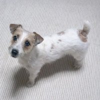 bernie?(@bernie_jrt) 's Twitter Profile Photo