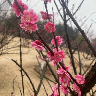 ljjjjf3's profile picture. 向前看，别回头