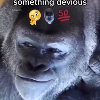 QQQPICARD's profile picture. beep