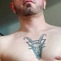 shavedhead666 (@bluedogalpha) 's Twitter Profile