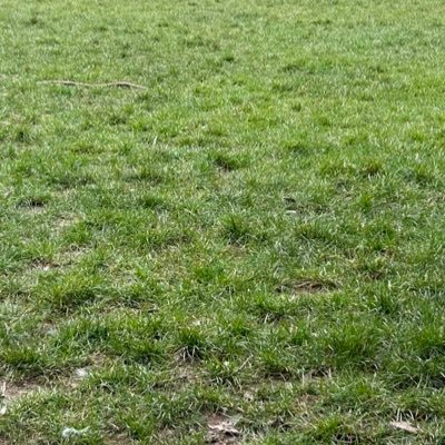 Rocket0304's profile picture. 