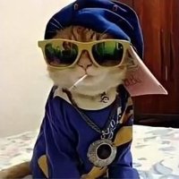 Mohit 🌻 (@_mukhtaliff_) 's Twitter Profile