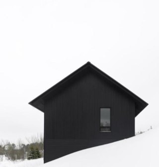 shoutart_jan's profile picture. Quiet thinker, goofball, spouse, mom, interior designer, artist, dreamer.