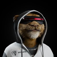 Piki (@piki_eth) 's Twitter Profile
