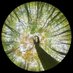 π π π π π π π (@aussivemusics) Twitter profile photo π π π π π π π (@aussivemusics) Twitter profile photo