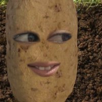 stewypotato(@spikeygonewewe) 's Twitter Profile Photo