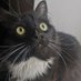-_- (@axb_cat) Twitter profile photo -_- (@axb_cat) Twitter profile photo