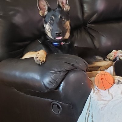 WSotirr's profile picture. Working on retirement it's a tough job but someone has to do it