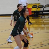 Anna Leong (@annaleong_) 's Twitter Profile