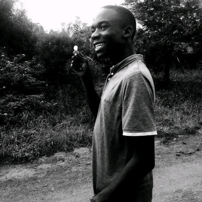 MrP33112587's profile picture. Rabbit