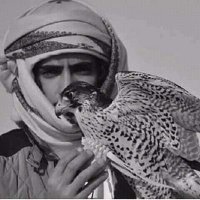 fahad (@fahadb909) 's Twitter Profile