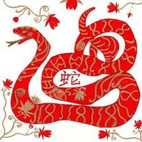 NCJPNYC (@ncjpnyc) 's Twitter Profile