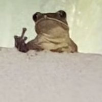 @/// (@xikeanarak1) 's Twitter Profile