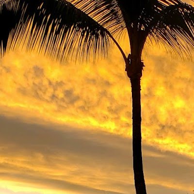 dailytest3's profile picture. 