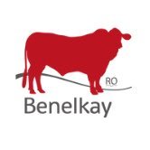 Santa Gertrudis Stud Poll Cattle for the stud and comercial environment. Bull Sale Thursday 21st August 1.00pm on property 2025.