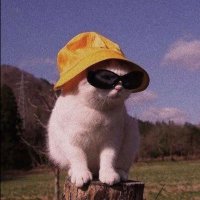 پینک فروید (@p1nkfroyd) 's Twitter Profile