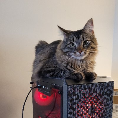 FiatFan83's profile picture. Racing, music, gaming, tech, cars, smut, the usual I guess. 42
