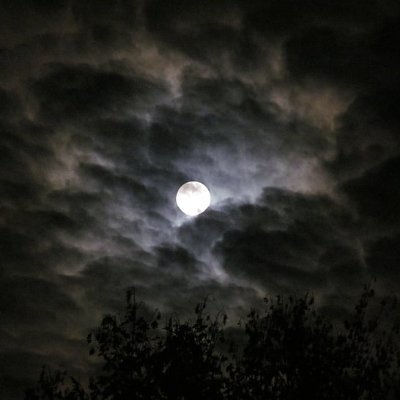 BowTiedSecure's profile picture. Corporate security and risk intelligence