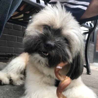 CarmineinNYC's profile picture. 