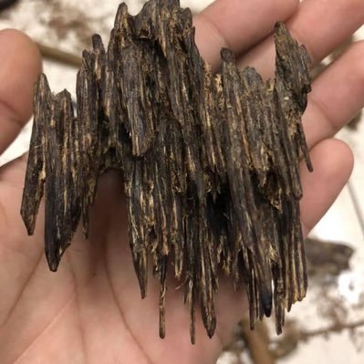 ArieAgarwood's profile picture. 