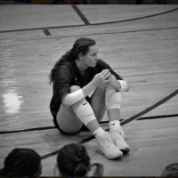 Lyndi Wolf (@wolflyndi) 's Twitter Profile