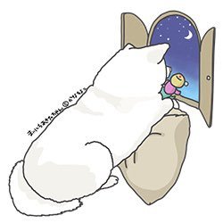 2020年3月9日生まれ、秋田犬白毛のお転婆娘うめ🐶💕 2022年8月12日生まれの双方向性PDAアイゼンメンジャー症候群の柴犬やんちゃboy桃太郎🐕💕の大笑いの日常をお届け🎵 無言フォロー大歓迎です🤩