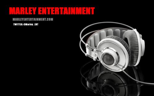 Marley_ENT's profile picture. We are a DJ service working all over the DMV area