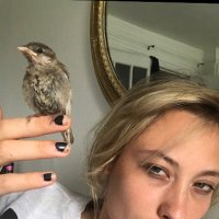Samantha Urbani (@samandude) 's Twitter Profile