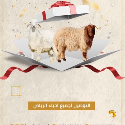 خروف الريف لبيع الذبائح البلدي الطازجه مع خدمة التغليف و التوصيل لجميع احياء الرياض والمزاحميه وضرماء 0553463979