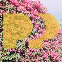 Polyglam (@polyglammusic) 's Twitter Profile