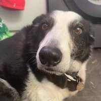 Diane (@dianemariefinl) 's Twitter Profile Photo