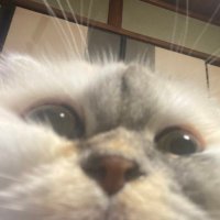 RailwayToyBox の人 (@nk_toybox) 's Twitter Profile Photo