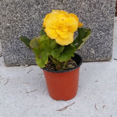 789e7JNWXNKgasq's profile picture. 