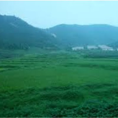 DutchVa44519384's profile picture. 