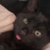 Felix (@felixmommylover) Twitter profile photo Felix (@felixmommylover) Twitter profile photo