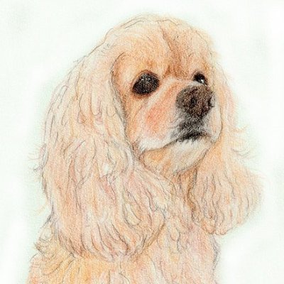 0m_1t's profile picture. 年に数回つぶやきます😊
いいね多めなので、たくさん押してもいいよ♥と言う方仲良くしてください✨

家族構成：#アメリカンコッカースパニエル ①
お空に #ポメラニアン 双子男子🌈🌈・ #チワワ 女子がいます🌈