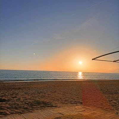 Undiiies's profile picture. 