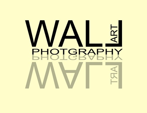 WallArtPhoto's profile picture. Professional wedding and event photography in NJ, PA, and the NY Metro Area
