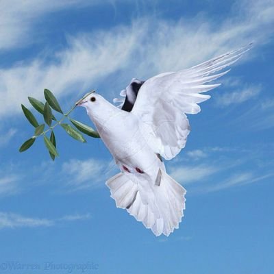 ما بين غَمضةِ عَين وانتباهتها
يغيّر الله من حالٍ إلى حالِ~