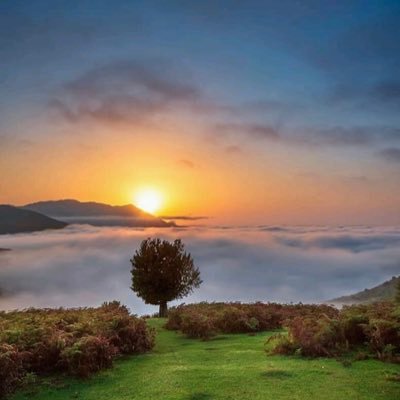 RA7HAL15's profile picture. 