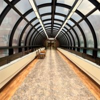 Najam Saqib (@najamsaqibmd) 's Twitter Profile Photo