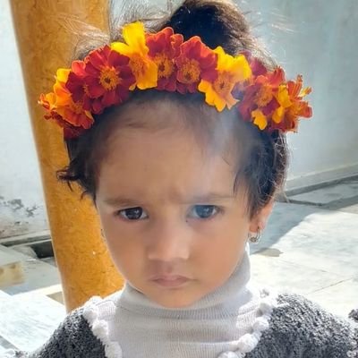 zahir15338736's profile picture. 