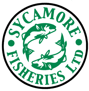 SycamoreFishery's profile picture. 