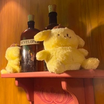 ﾐｸﾐｸ🍮さんのプロフィール画像