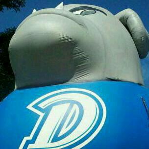 AmyD515's profile picture. 