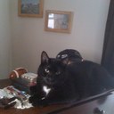 Robert Heroux - @milwrd - Twitter