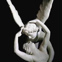 Cupid & Psyche ❤️🦋(@_CupidandPsyche) 's Twitter Profile Photo