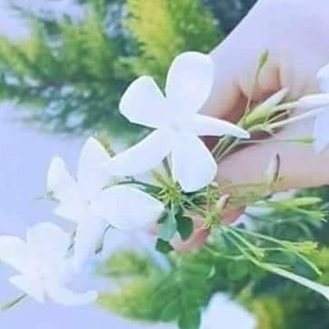 من لم يطرق بابنا والروح ترتجف ، لا مرحباً بهِ والنبض منتظم.💙