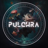 PULCHRA(@Pulchra_art) 's Twitter Profile Photo